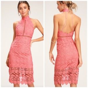 NWT-Bardot Gemma Halter Lace Sheath Dress